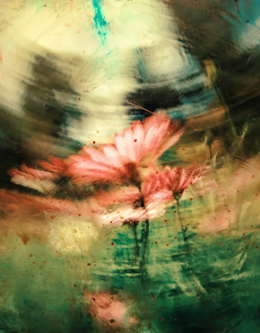 Flores vermelhas em composição artística