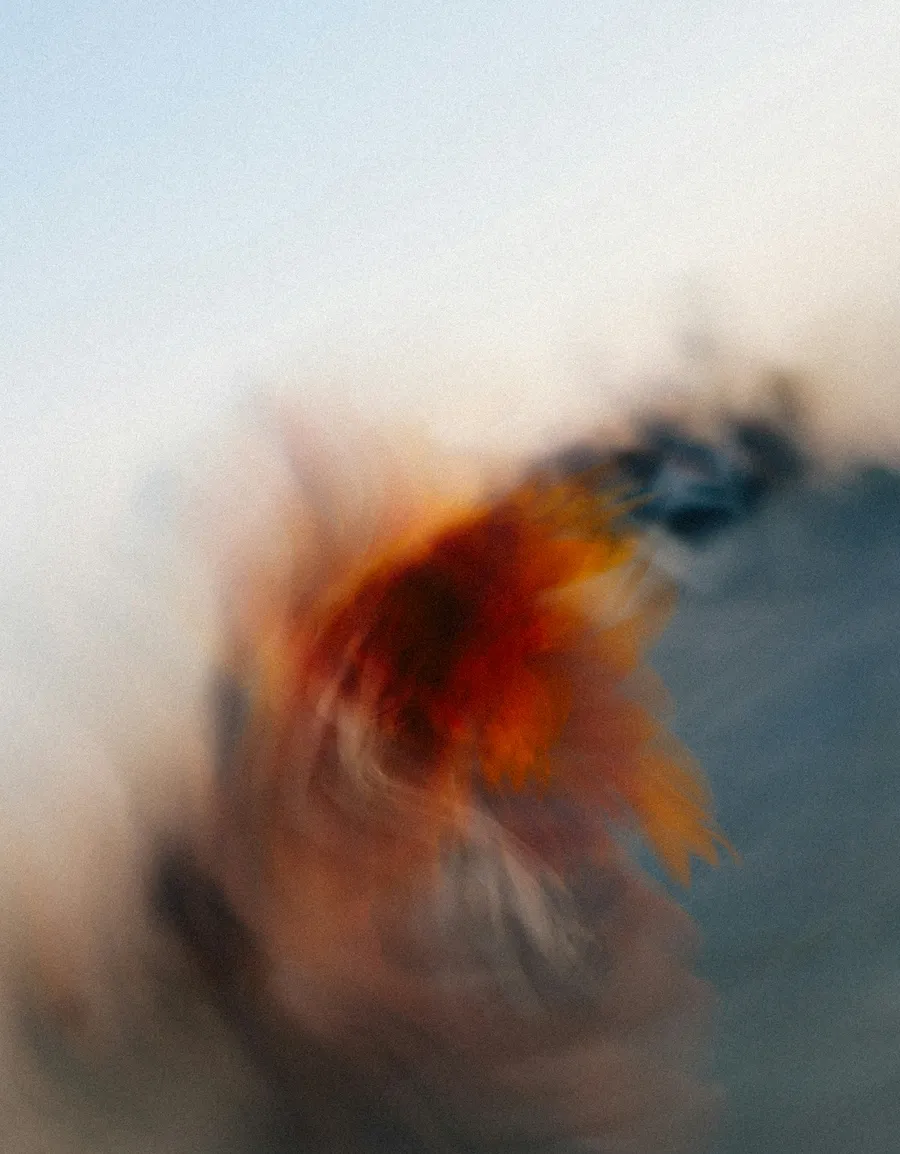 Cores quentes em movimento abstrato, representando fogo